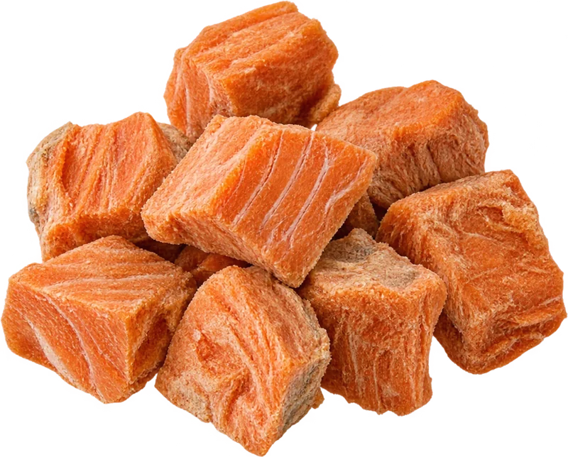 Freeze-dried Salmon treats